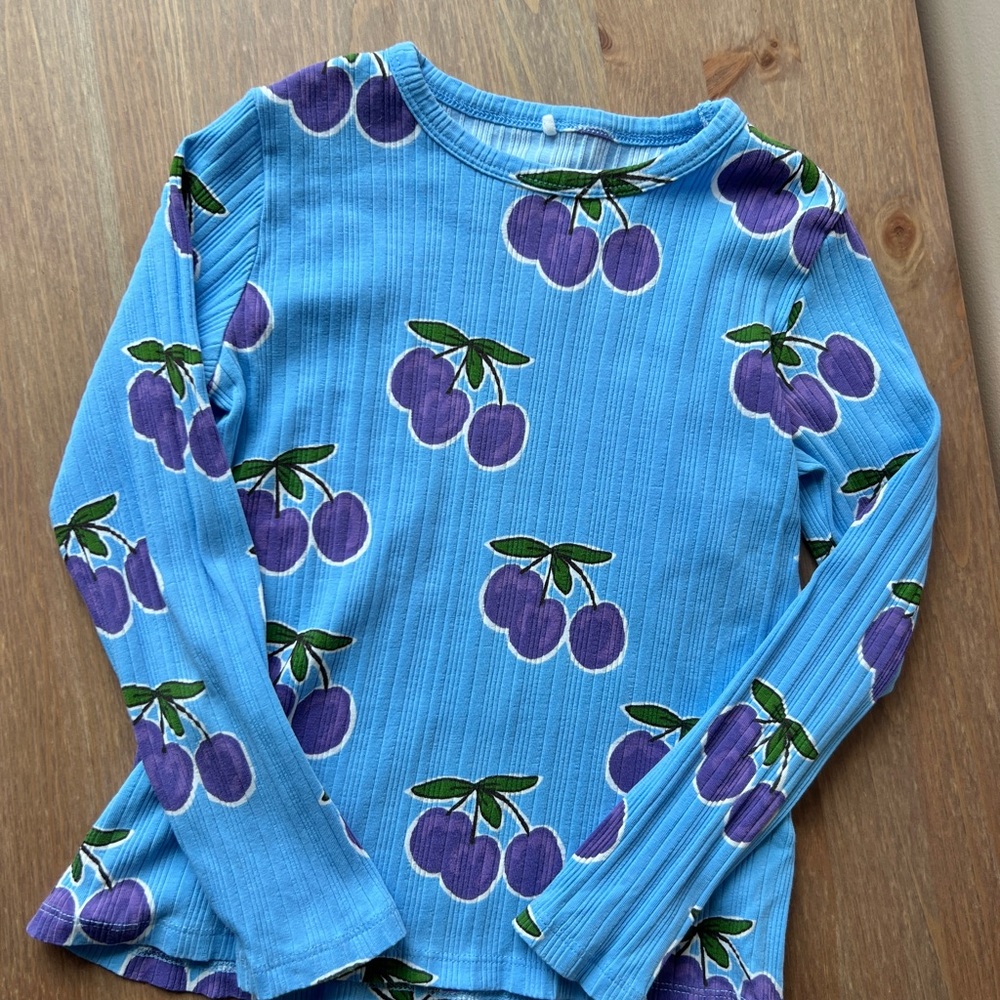 Mini Rodini Ribbed Blue Long Sleeve with Purple Plum Design - Picture 2 of 4